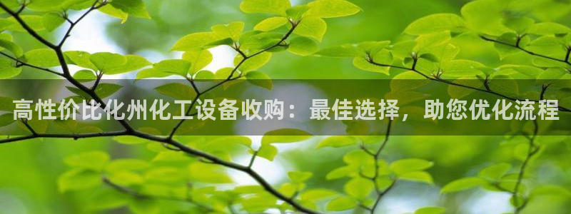 新城平台登录入口官网网址是什么